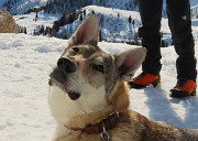 Sulle nevi da San Simone alle Baite Fontanini splende il sole!23febb26- FOTOGALLERY